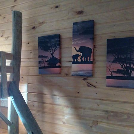 Hostel Cape Town - Cambará Eksteriør billede